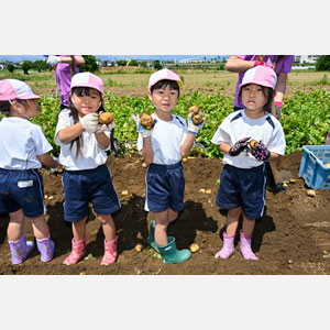 じゃがいも掘り