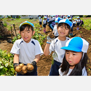 じゃがいも掘り