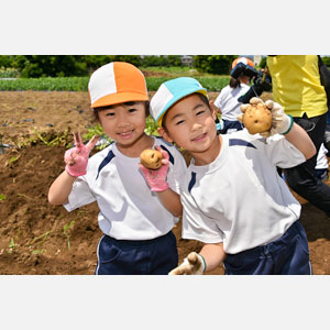 じゃがいも掘り