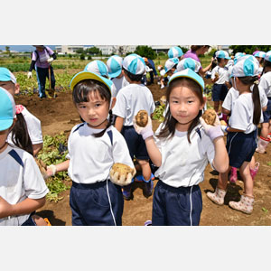 じゃがいも掘り