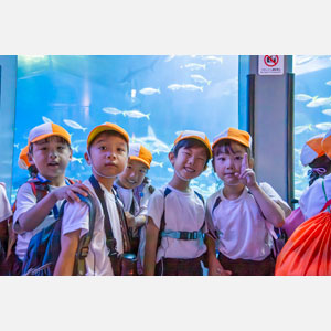 秋の遠足（年長）